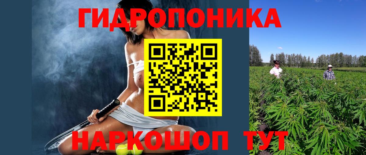 Марихуана Amnesia  Вход с VPN  Отрадное  Бошки Шишки семена 